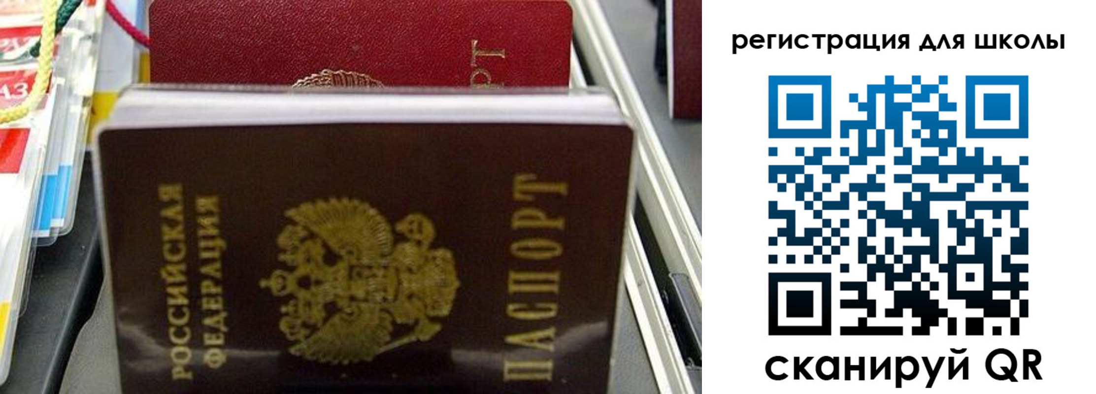 прописка иностранных граждан в Мончегорске